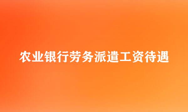 农业银行劳务派遣工资待遇