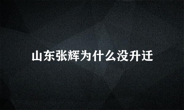 山东张辉为什么没升迁