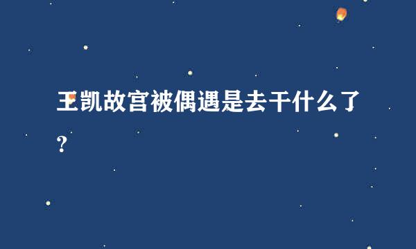 王凯故宫被偶遇是去干什么了？