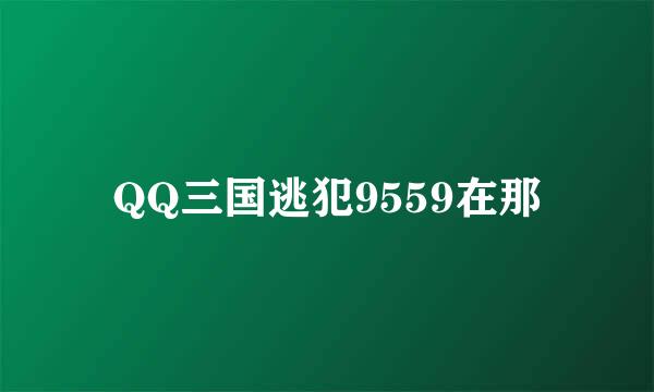 QQ三国逃犯9559在那