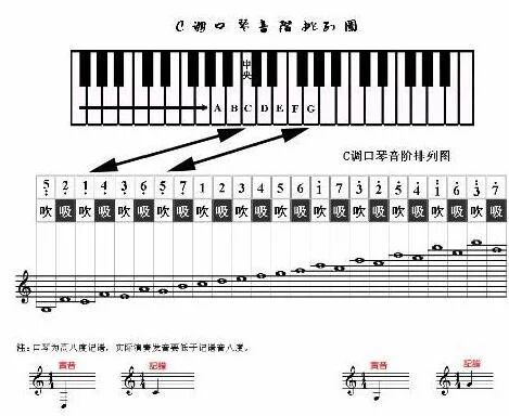 十孔口琴怎样识简谱啊？