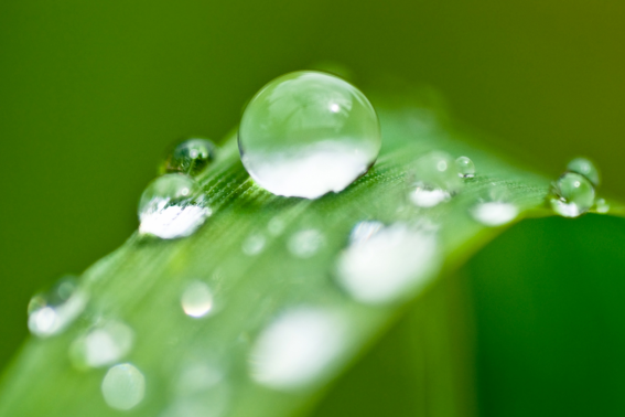 好雨知时节下一句是什么诗