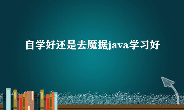 自学好还是去魔据java学习好