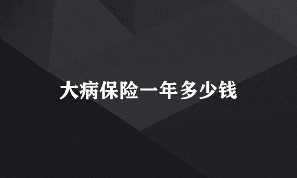 大病保险一年多少钱