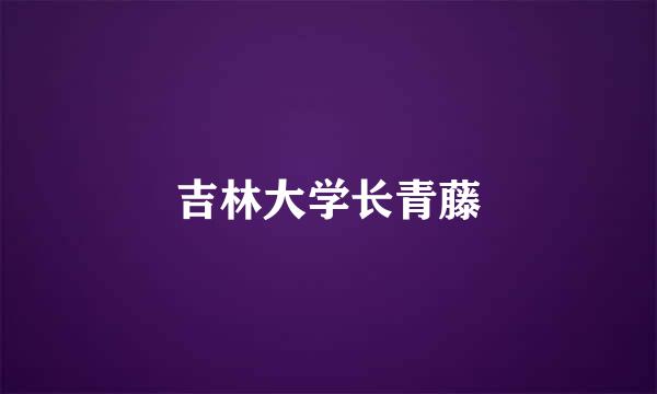 吉林大学长青藤