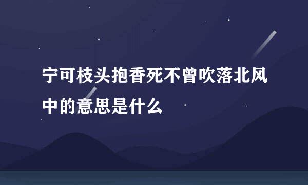 宁可枝头抱香死不曾吹落北风中的意思是什么