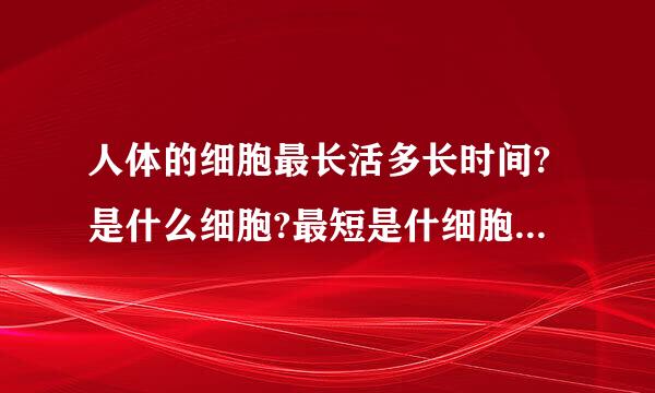 人体的细胞最长活多长时间?是什么细胞?最短是什细胞?能活多长时间?