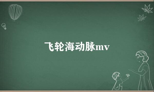 飞轮海动脉mv