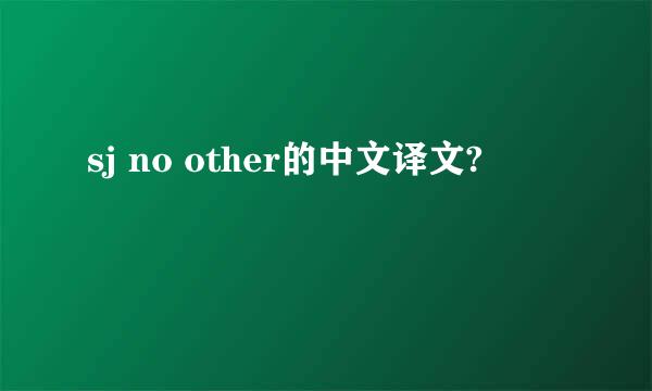 sj no other的中文译文?