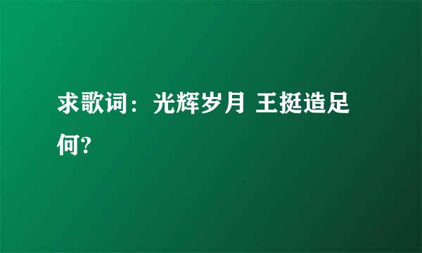 求歌词：光辉岁月 王挺造足何?