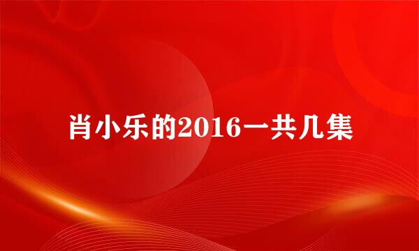 肖小乐的2016一共几集