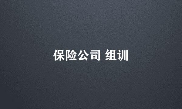 保险公司 组训