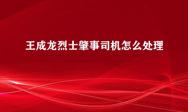 王成龙烈士肇事司机怎么处理