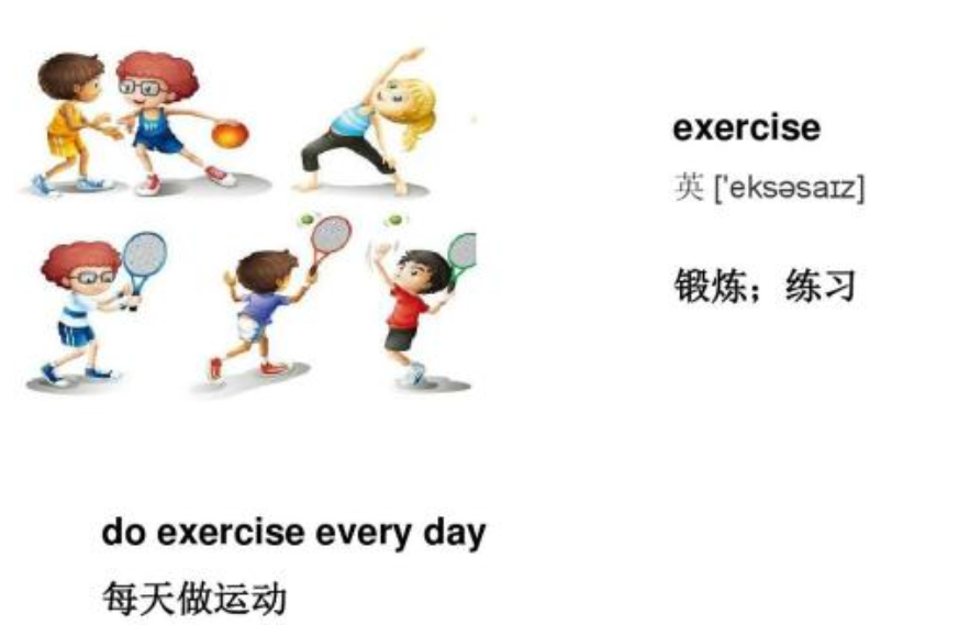 exercise是可数还是不可数