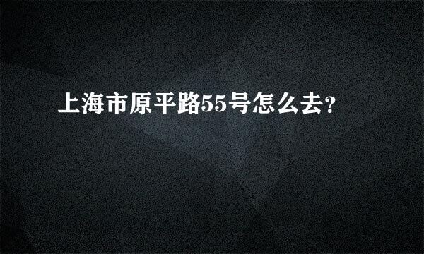 上海市原平路55号怎么去？