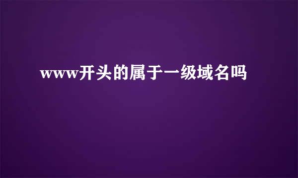 www开头的属于一级域名吗