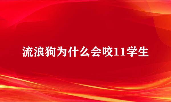 流浪狗为什么会咬11学生