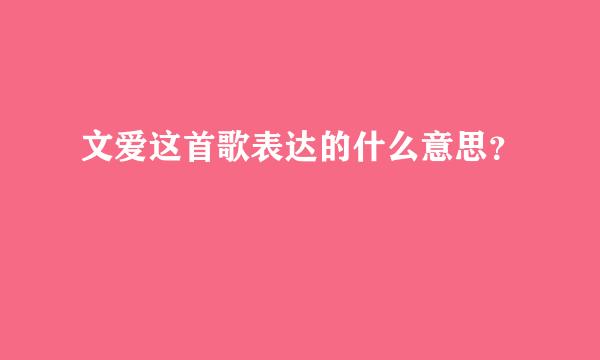 文爱这首歌表达的什么意思？