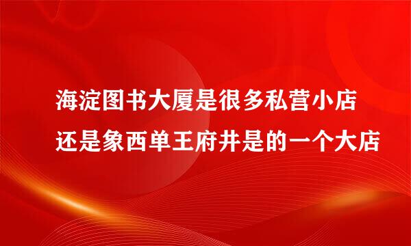 海淀图书大厦是很多私营小店还是象西单王府井是的一个大店