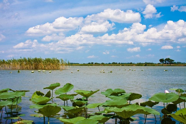 洞庭湖是第几大淡水湖