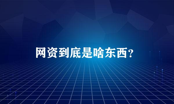 网资到底是啥东西？