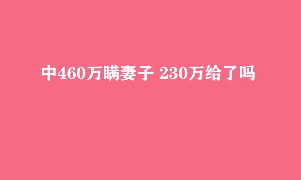 中460万瞒妻子 230万给了吗