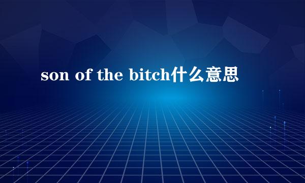 son of the bitch什么意思