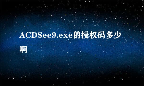 ACDSee9.exe的授权码多少啊