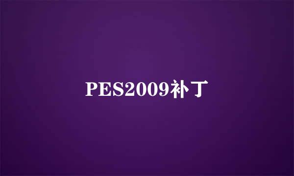 PES2009补丁