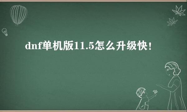 dnf单机版11.5怎么升级快！