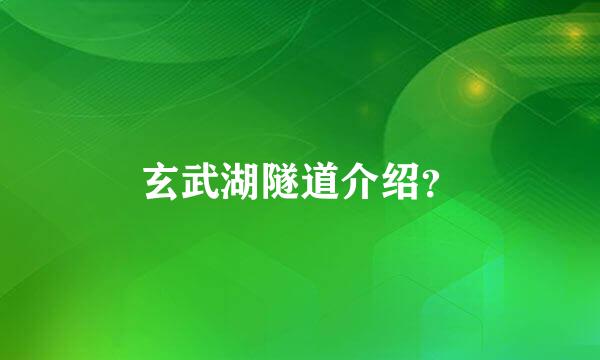 玄武湖隧道介绍？