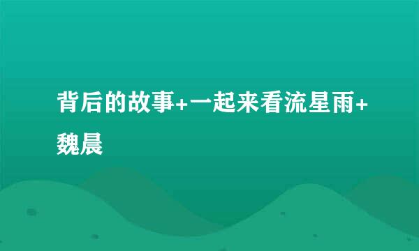 背后的故事+一起来看流星雨+魏晨