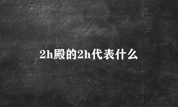 2h殿的2h代表什么