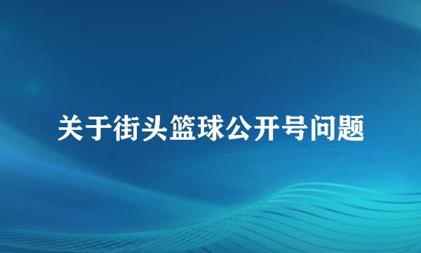 关于街头篮球公开号问题