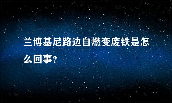 兰博基尼路边自燃变废铁是怎么回事？