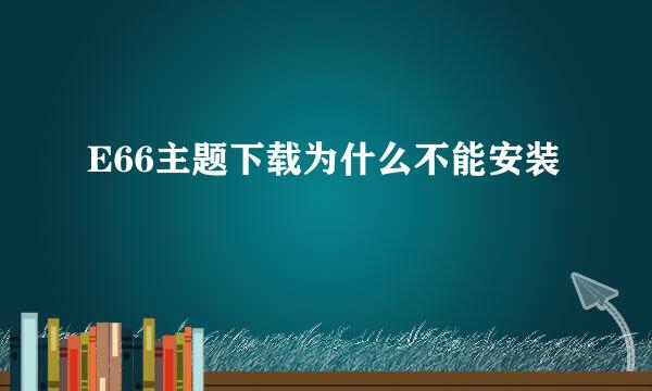 E66主题下载为什么不能安装