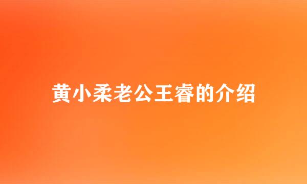 黄小柔老公王睿的介绍