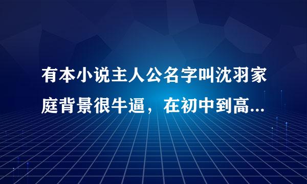 有本小说主人公名字叫沈羽家庭背景很牛逼，在初中到高中老师校花全收，女主人公有个叫王瑶的...是哪部小说