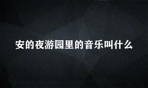 安的夜游园里的音乐叫什么