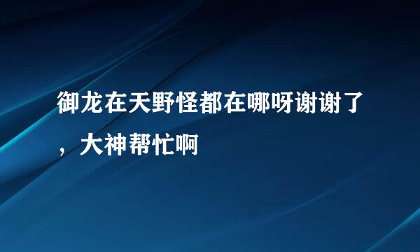 御龙在天野怪都在哪呀谢谢了，大神帮忙啊