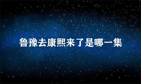 鲁豫去康熙来了是哪一集