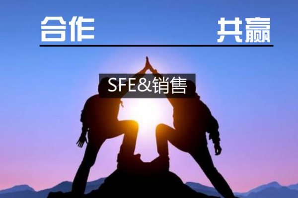 sfe是什么岗位