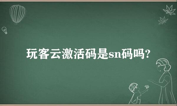 玩客云激活码是sn码吗?