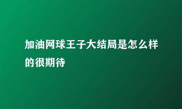 加油网球王子大结局是怎么样的很期待