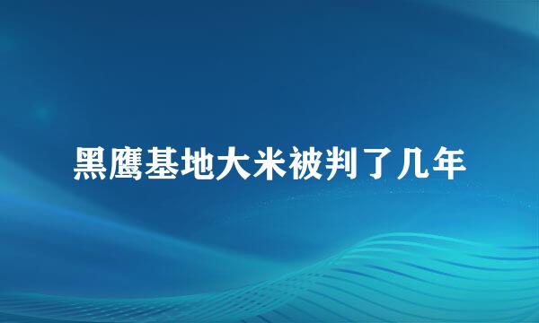 黑鹰基地大米被判了几年