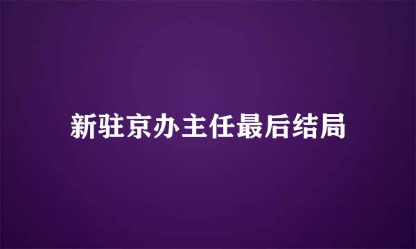 新驻京办主任最后结局