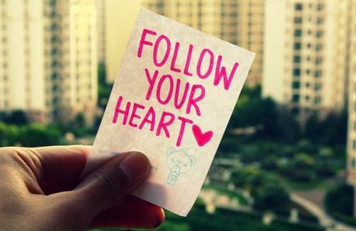 follow your heart为什么是怂的意思？由来是什么