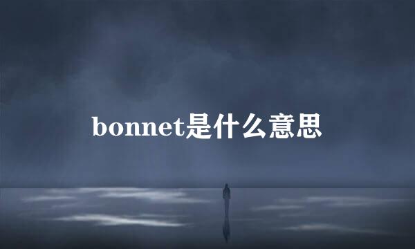 bonnet是什么意思