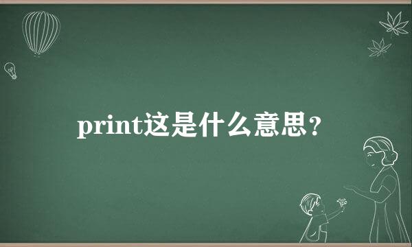 print这是什么意思？