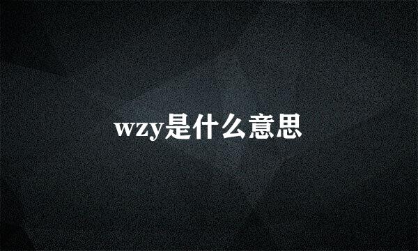 wzy是什么意思